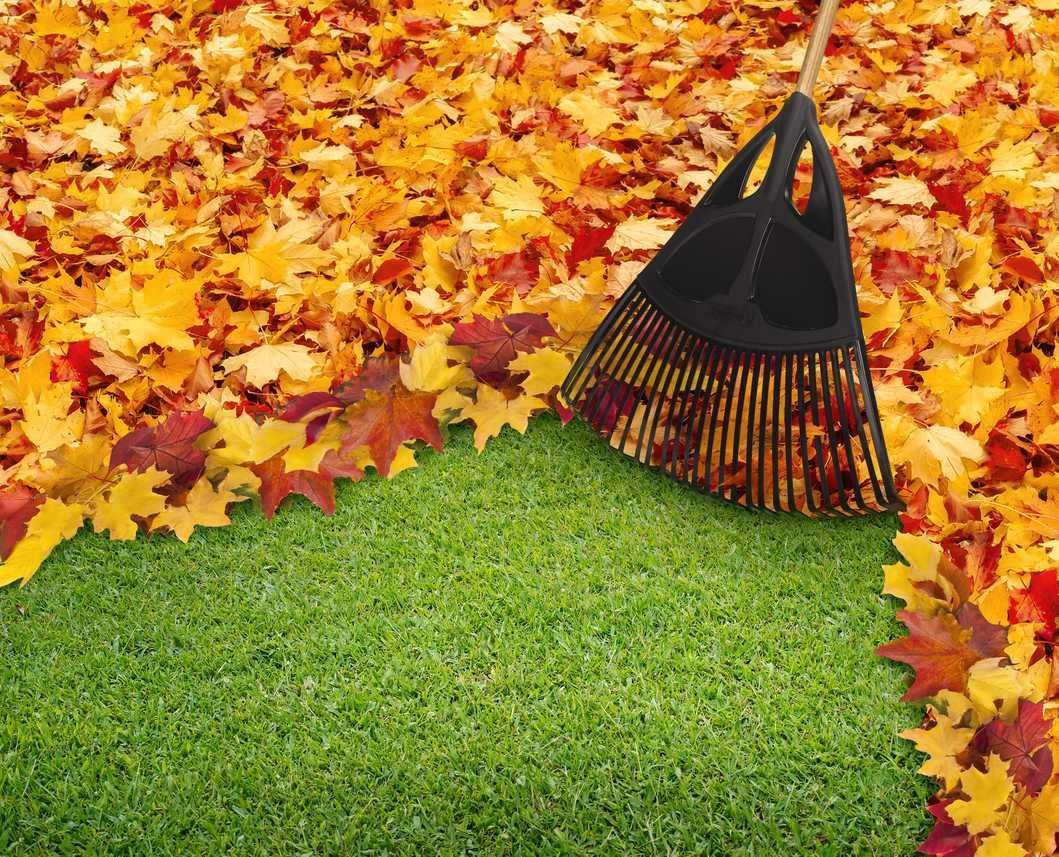 Yard Prep for Cooler Temperatures